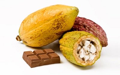 hershey-exceeds-sustainable-cocoa-goals-in-2014